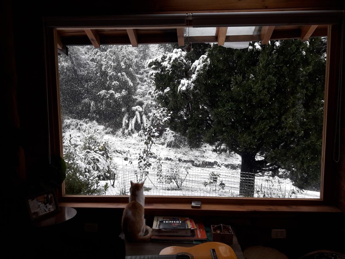 ビージャ・ラ・アンゴストゥーラ Lo De Pablo Bed & Breakfast エクステリア 写真